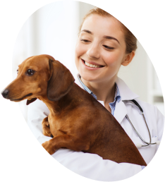 Farmacista